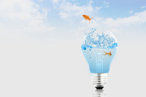 临沂广告设计与制作培训 解锁创意产业新机遇